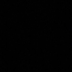 Meet your Posher, Tashala